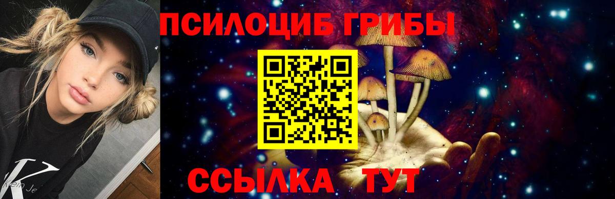 Галлюциногенные грибы мицелий Новошахтинск