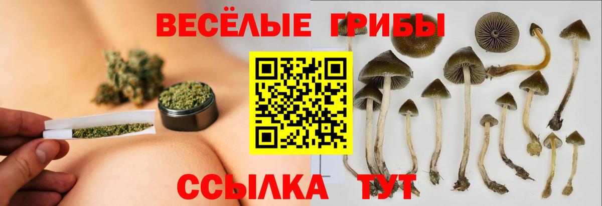 Новошахтинск  Псилоцибиновые грибы мицелий  Вход с VPN 
